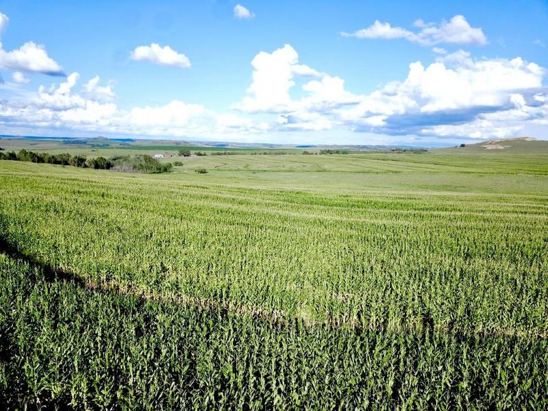 0 Bedroom Property for Sale in Bethlehem Rural Free State